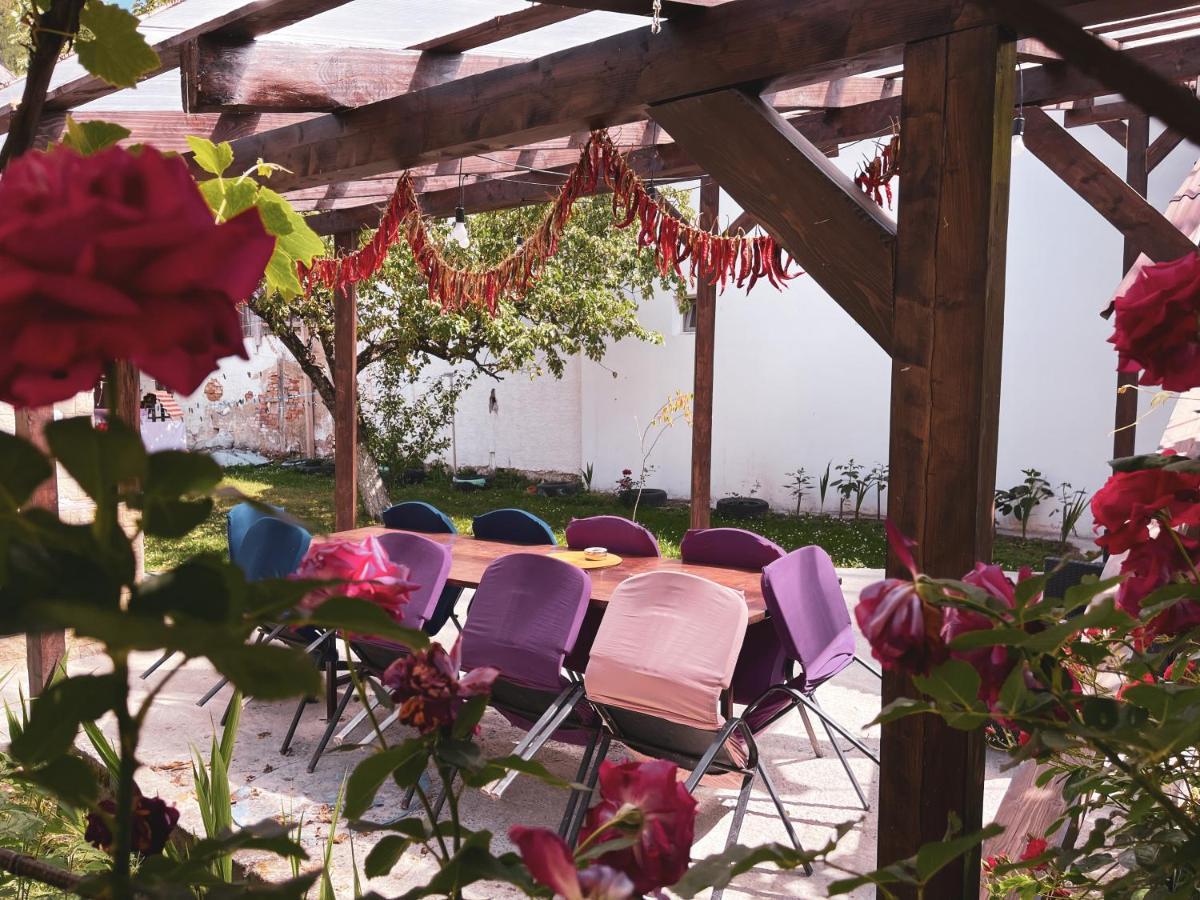 Yard Studio Rasnov Apartment Екстериор снимка