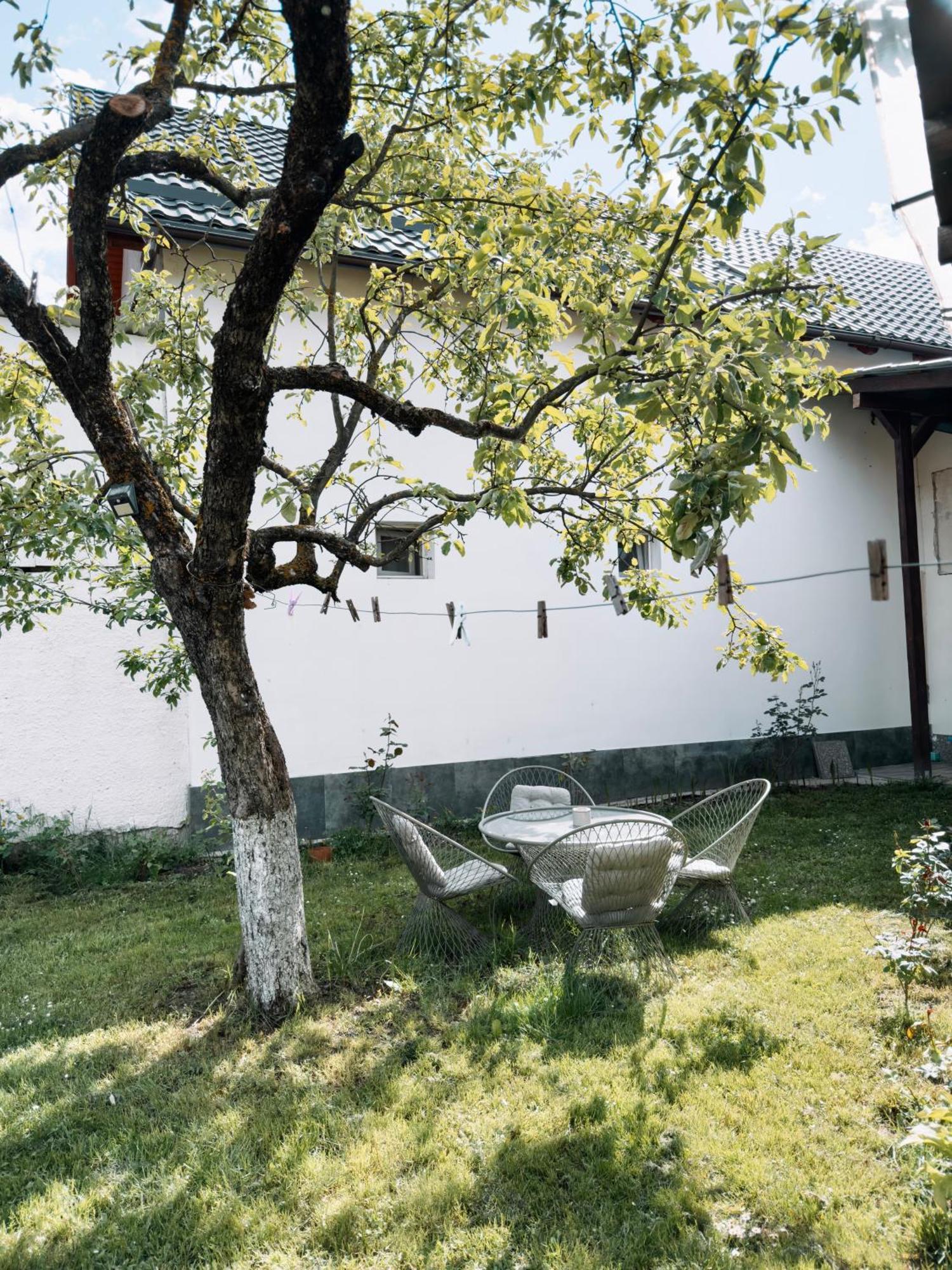 Yard Studio Rasnov Apartment Екстериор снимка