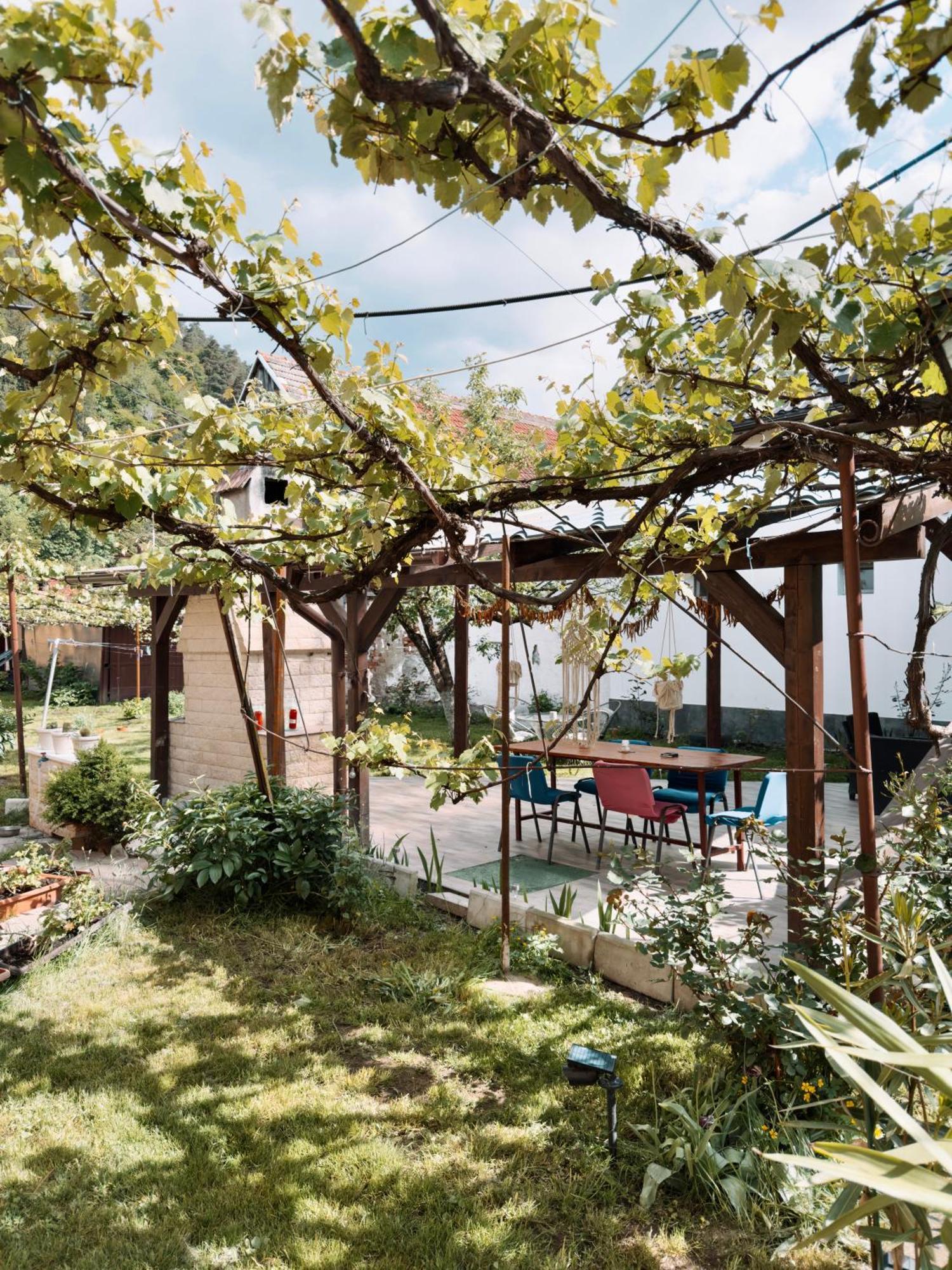 Yard Studio Rasnov Apartment Екстериор снимка
