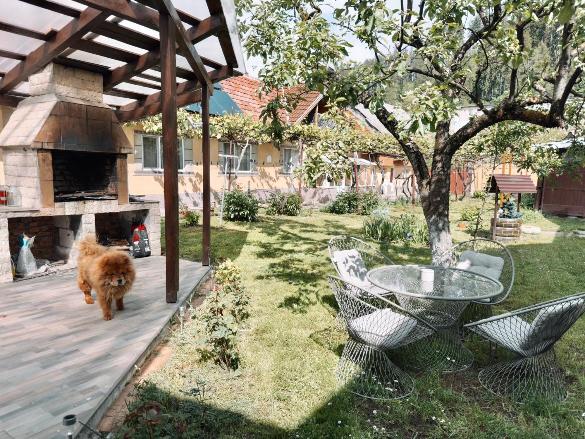 Yard Studio Rasnov Apartment Екстериор снимка